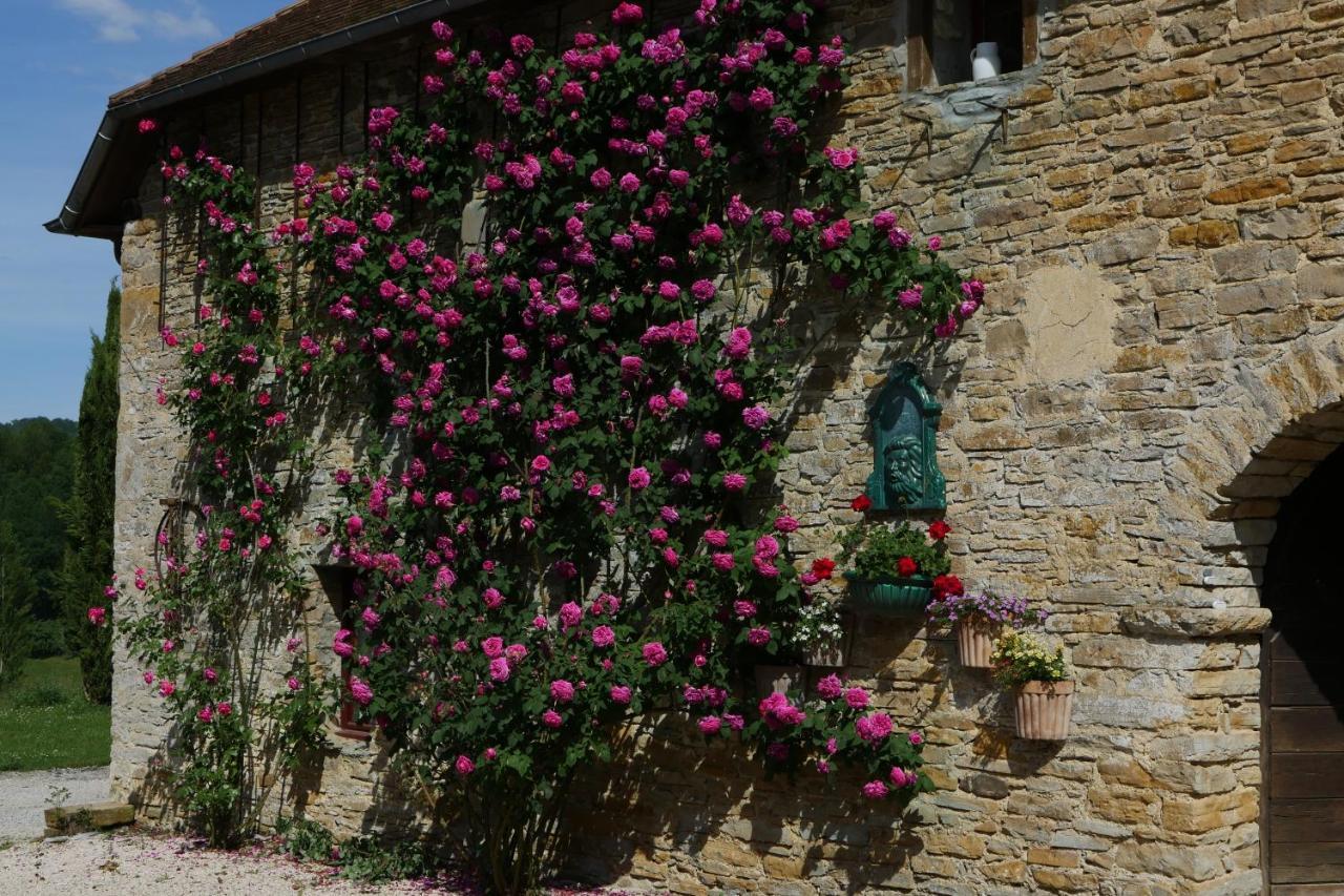 Chambres d'Hôtes Secret Pyrenées Lasseube Exterior foto
